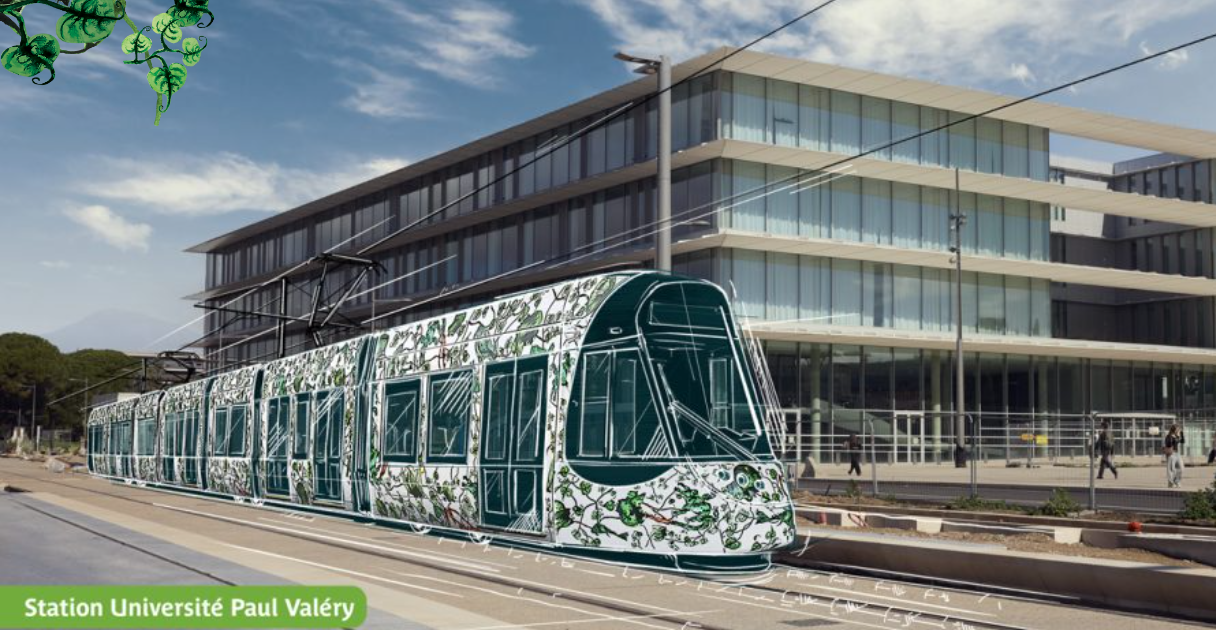 Montpellier – Tramway – Ligne 5